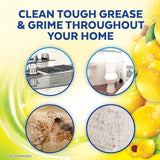 Lysol Multi-Surface Cleaner
